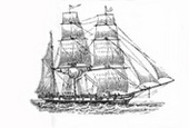 parusnik-agnes-blaikie
